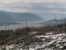 Kyle Pickering and Bobby McDowell walking across Canada