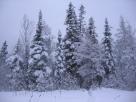 Kyle Pickering and Bobby McDowell walking across Canada