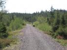 Kyle Pickering and Bobby McDowell walking across Canada