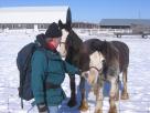 Kyle Pickering and Bobby McDowell walking across Canada