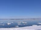 Kyle Pickering and Bobby McDowell walking across Canada