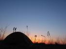 Kyle Pickering and Bobby McDowell walking across Canada